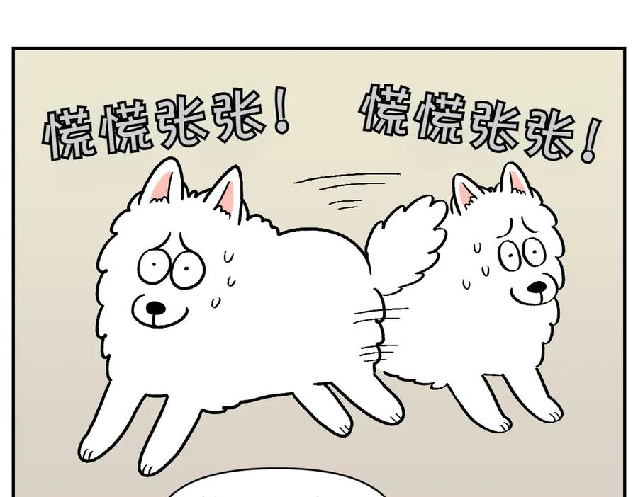 《我的狗子叫棉花》第14话 出版社访问记1 第12页