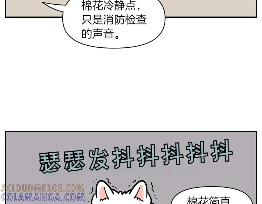 《我的狗子叫棉花》第14话 出版社访问记1 第13页