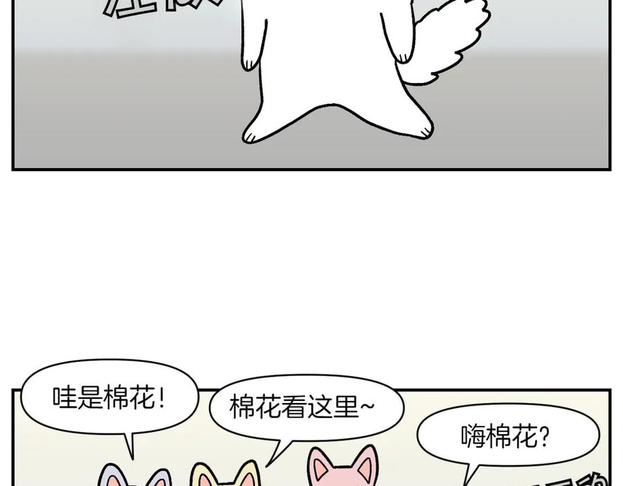 《我的狗子叫棉花》第14话 出版社访问记1 第44页