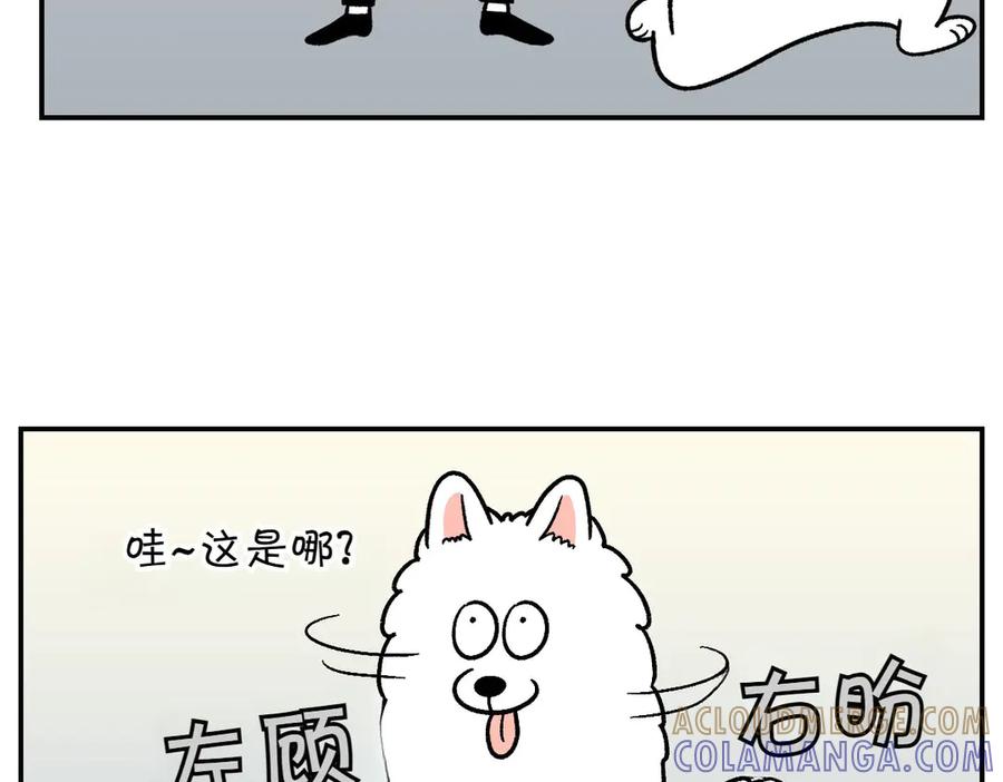 《我的狗子叫棉花》第14话 出版社访问记1 第43页