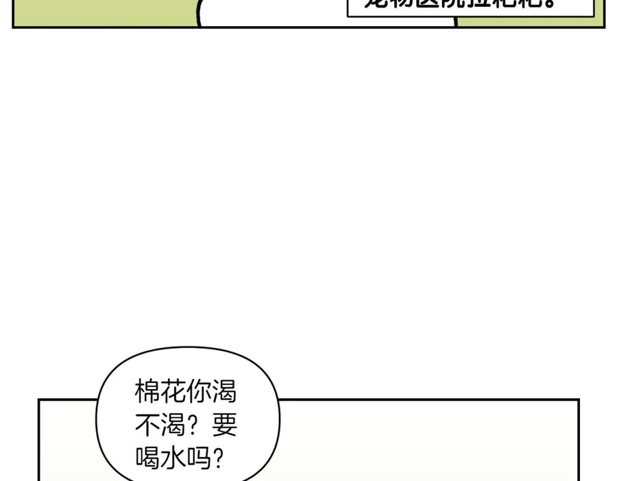 《我的狗子叫棉花》第15话 出版社访问记2 第11页