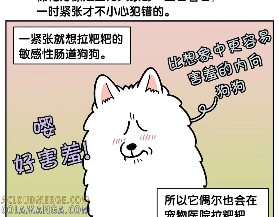 《我的狗子叫棉花》第15话 出版社访问记2 第10页