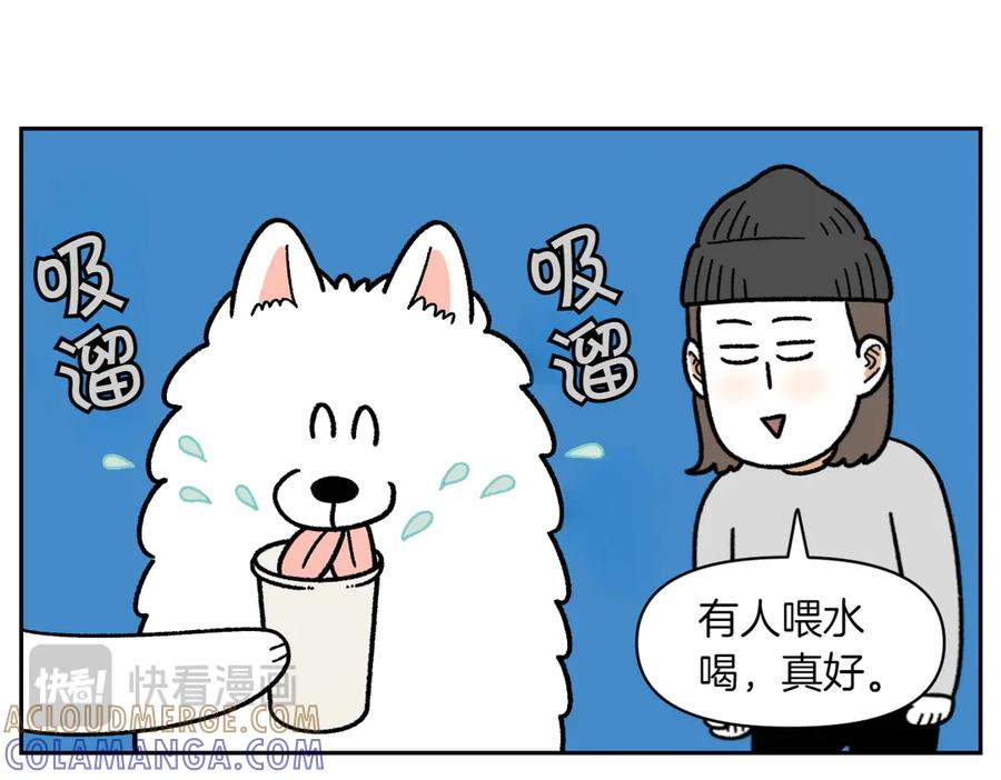 《我的狗子叫棉花》第15话 出版社访问记2 第13页