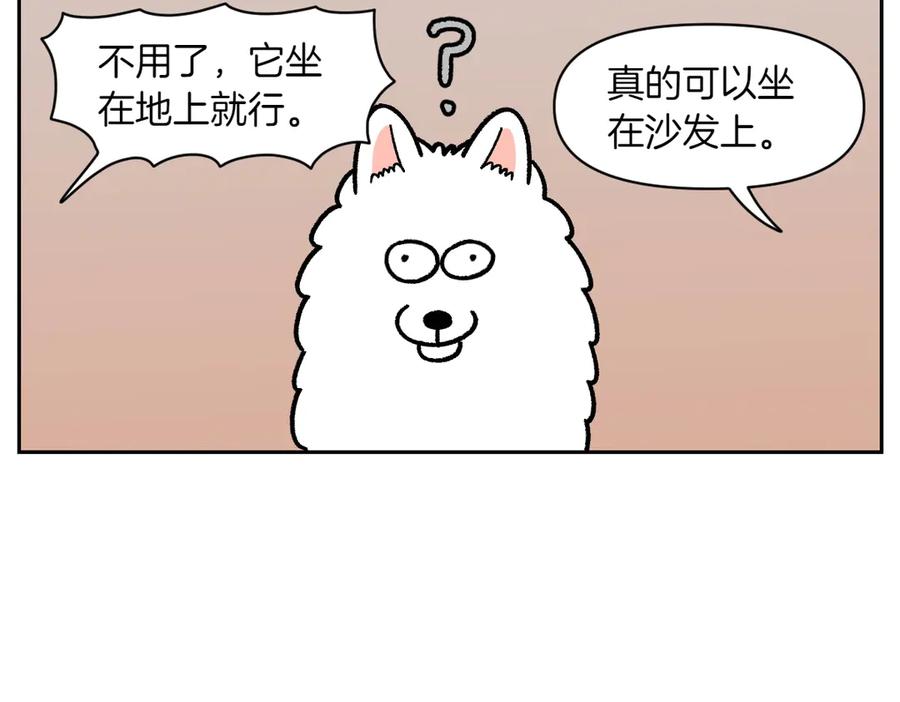 《我的狗子叫棉花》第15话 出版社访问记2 第27页
