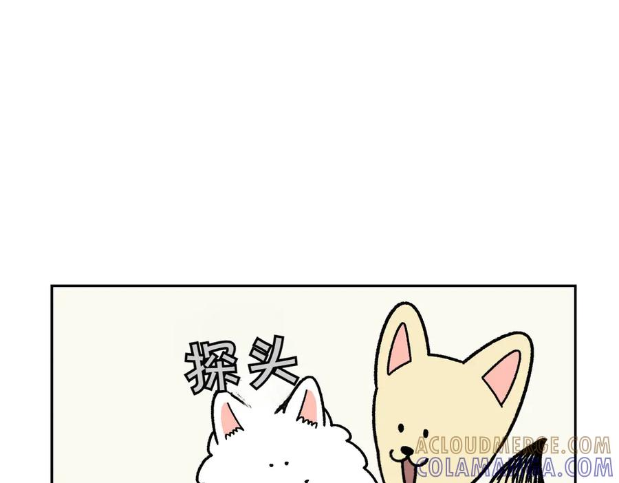 《我的狗子叫棉花》第15话 出版社访问记2 第43页