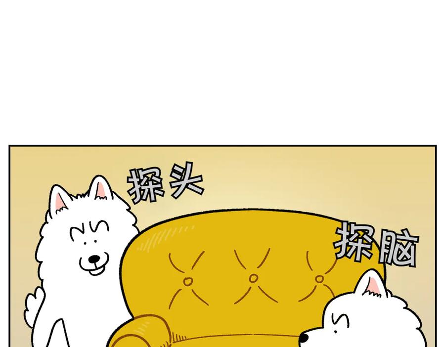 《我的狗子叫棉花》第15话 出版社访问记2 第32页