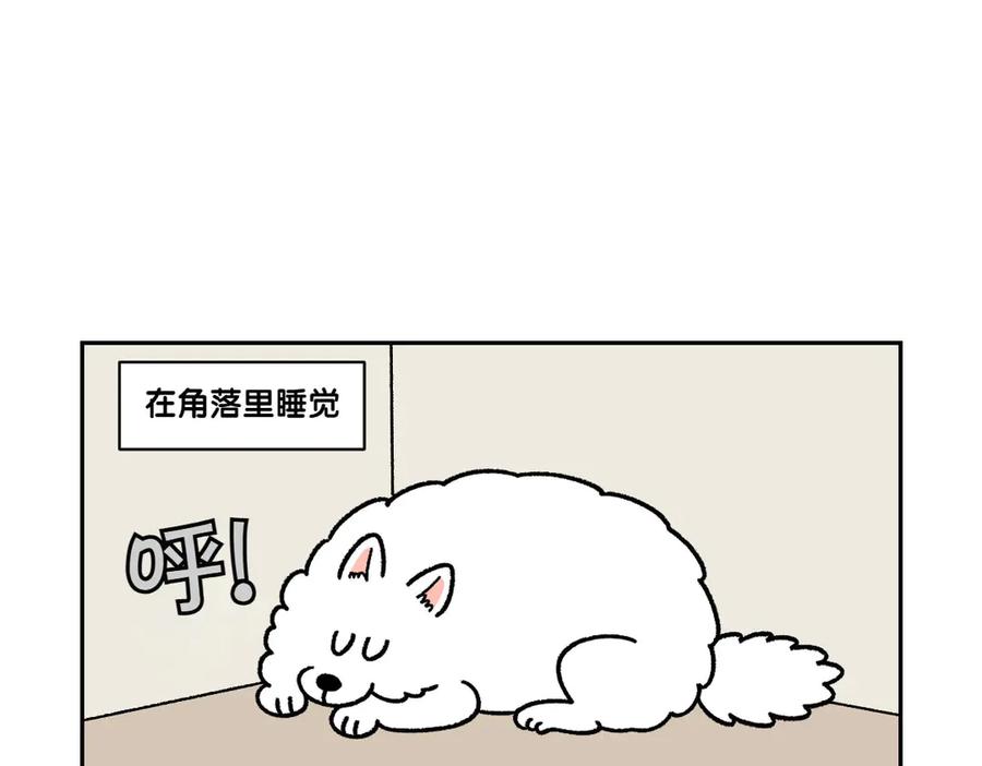 《我的狗子叫棉花》第15话 出版社访问记2 第48页