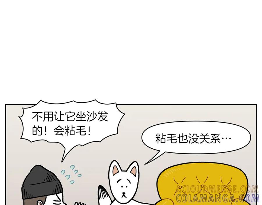 《我的狗子叫棉花》第15话 出版社访问记2 第25页