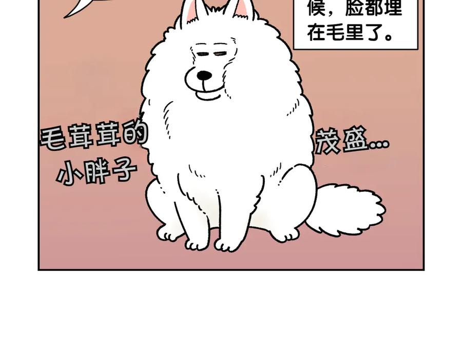 《我的狗子叫棉花》第16话 胖狗狗1 第41页