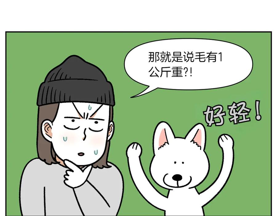 《我的狗子叫棉花》第16话 胖狗狗1 第38页
