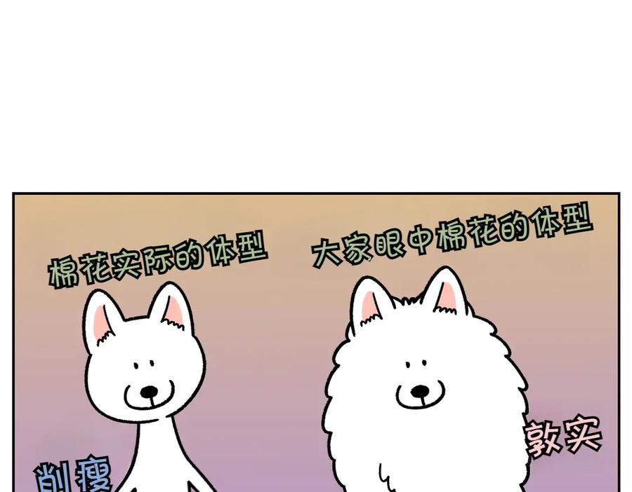 《我的狗子叫棉花》第16话 胖狗狗1 第32页