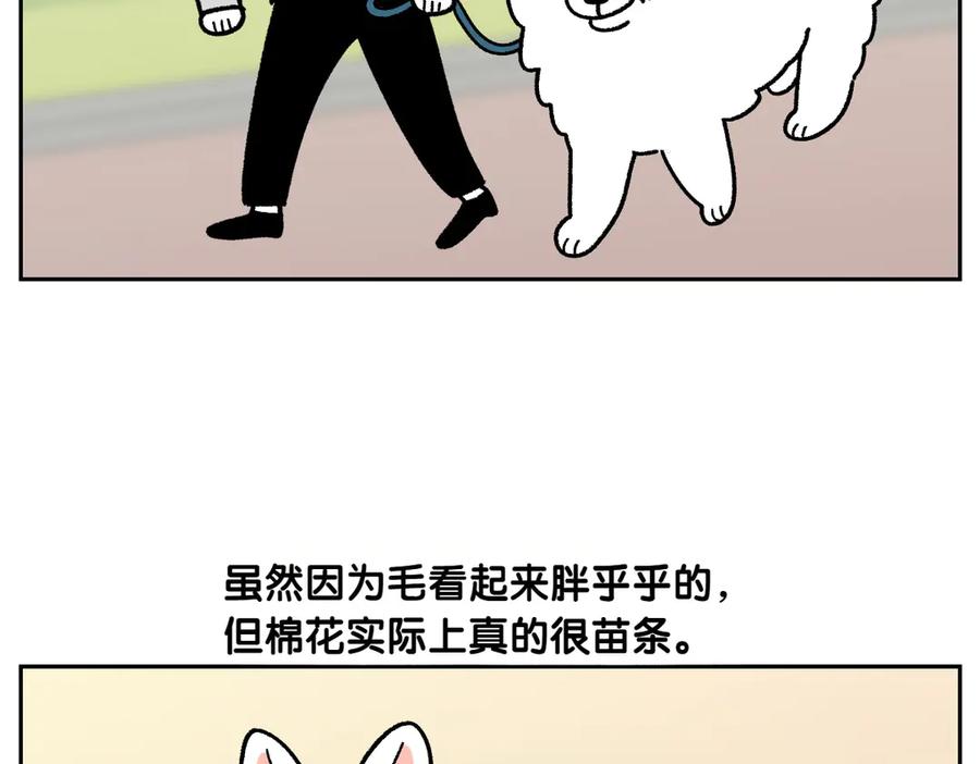 《我的狗子叫棉花》第16话 胖狗狗1 第30页