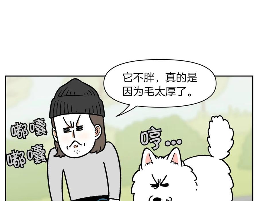 《我的狗子叫棉花》第16话 胖狗狗1 第29页