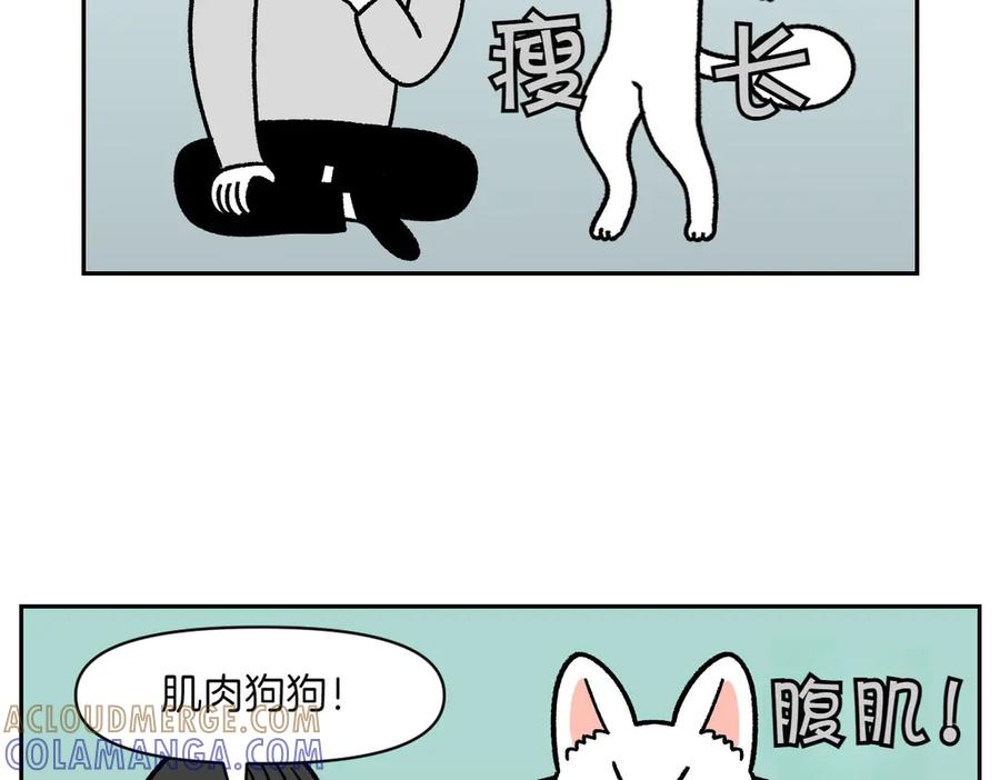 《我的狗子叫棉花》第16话 胖狗狗1 第43页