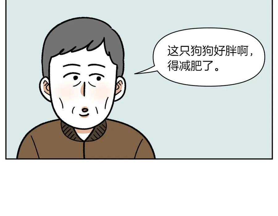《我的狗子叫棉花》第16话 胖狗狗1 第8页