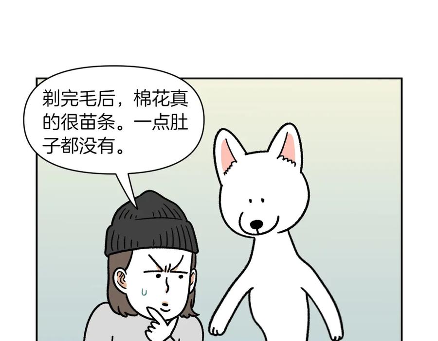 《我的狗子叫棉花》第16话 胖狗狗1 第42页