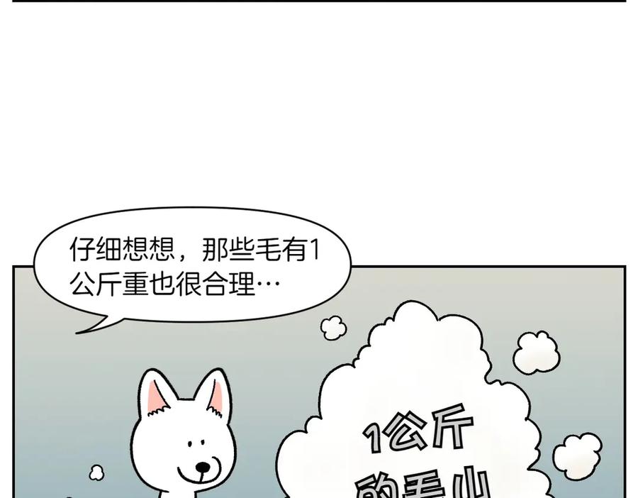 《我的狗子叫棉花》第16话 胖狗狗1 第39页