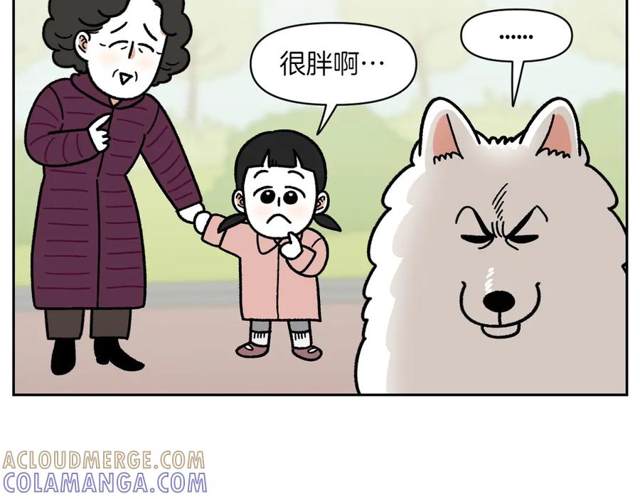 《我的狗子叫棉花》第16话 胖狗狗1 第28页
