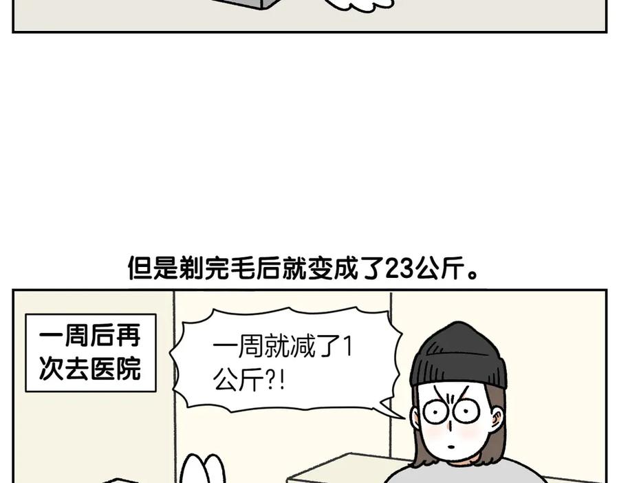 《我的狗子叫棉花》第16话 胖狗狗1 第36页