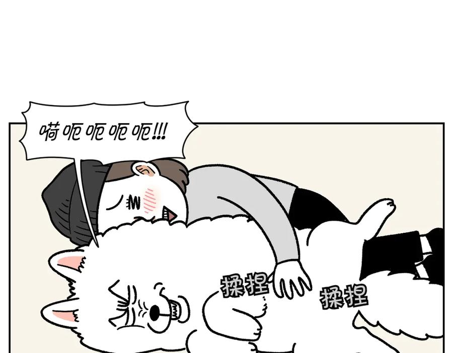 《我的狗子叫棉花》第17话 胖狗狗2 第24页