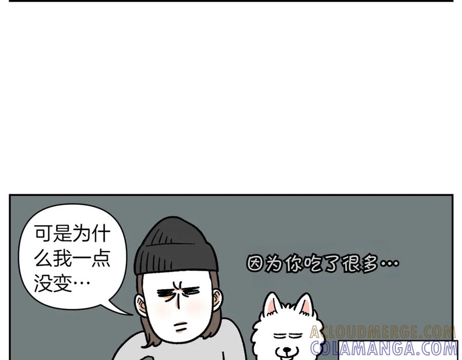 《我的狗子叫棉花》第17话 胖狗狗2 第49页