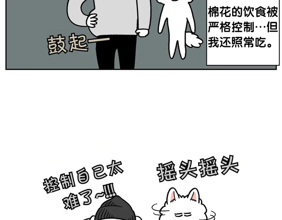 《我的狗子叫棉花》第17话 胖狗狗2 第50页