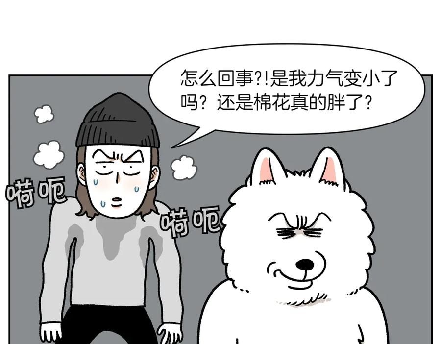 《我的狗子叫棉花》第17话 胖狗狗2 第15页