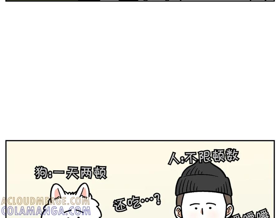《我的狗子叫棉花》第17话 胖狗狗2 第43页