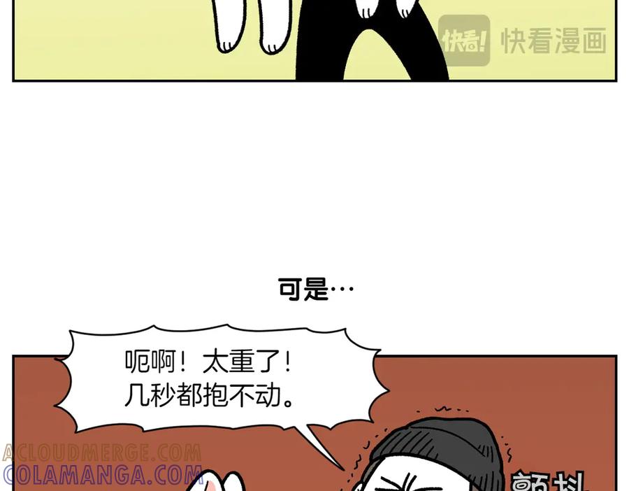 《我的狗子叫棉花》第17话 胖狗狗2 第13页