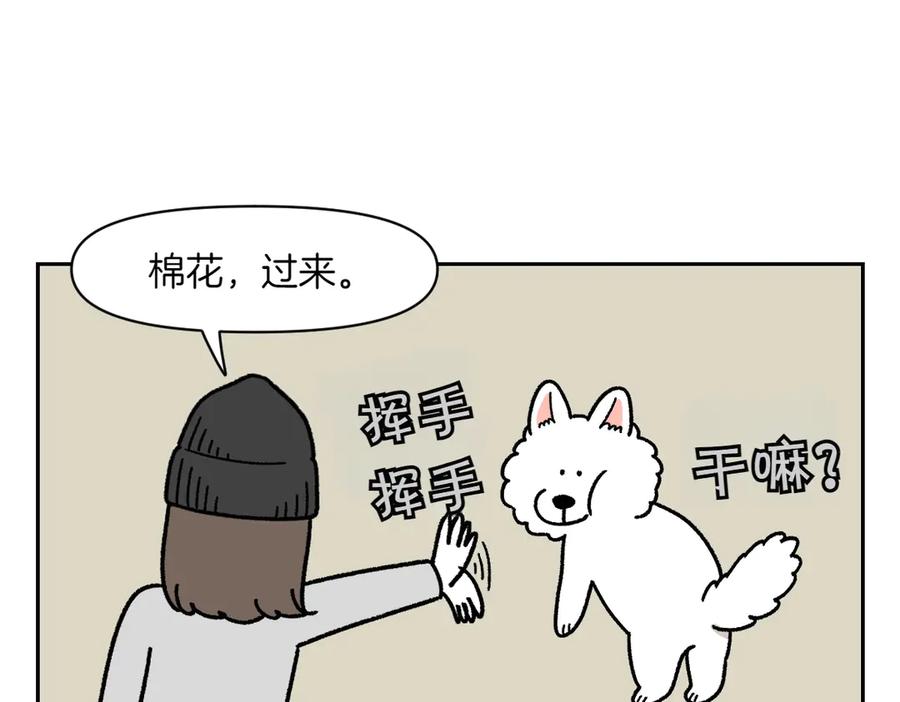 《我的狗子叫棉花》第17话 胖狗狗2 第9页