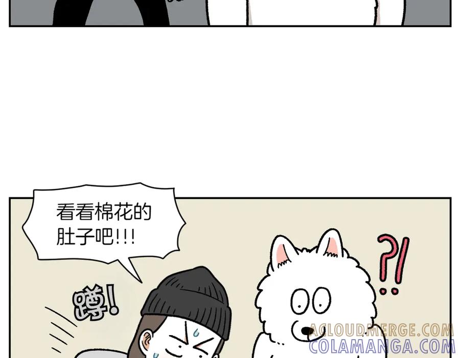 《我的狗子叫棉花》第17话 胖狗狗2 第16页