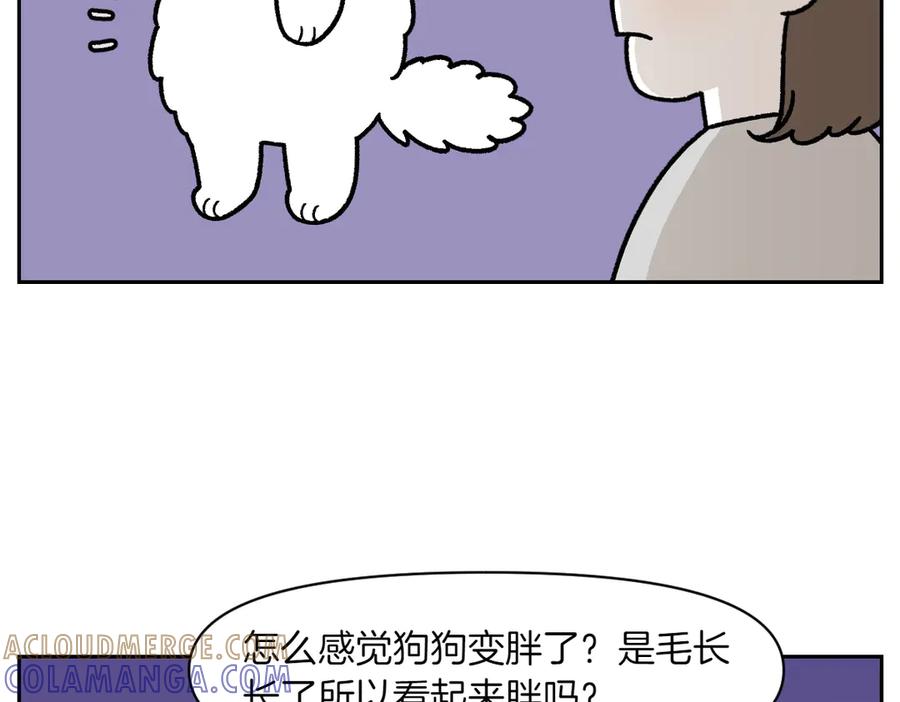 《我的狗子叫棉花》第17话 胖狗狗2 第7页