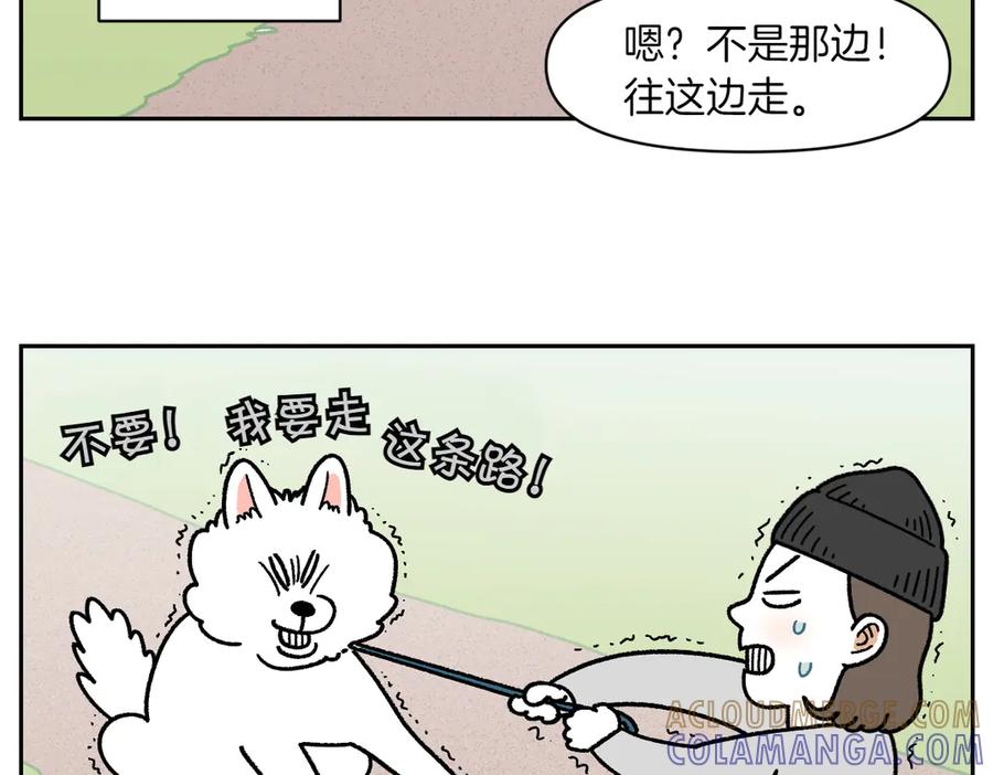 《我的狗子叫棉花》第17话 胖狗狗2 第31页