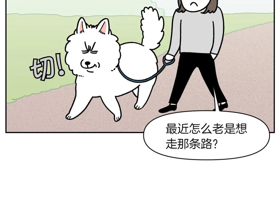 《我的狗子叫棉花》第17话 胖狗狗2 第33页