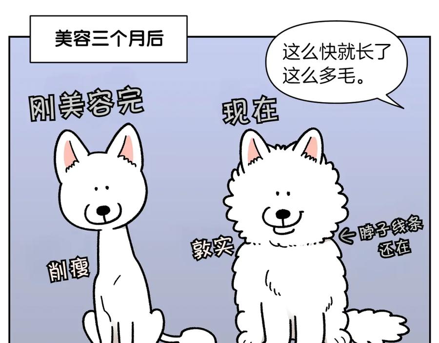 《我的狗子叫棉花》第17话 胖狗狗2 第5页