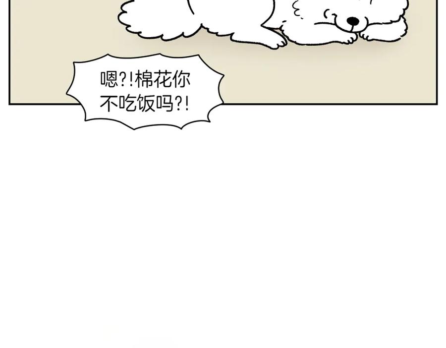 《我的狗子叫棉花》第18话 姐姐不在就难过的狗狗 第30页