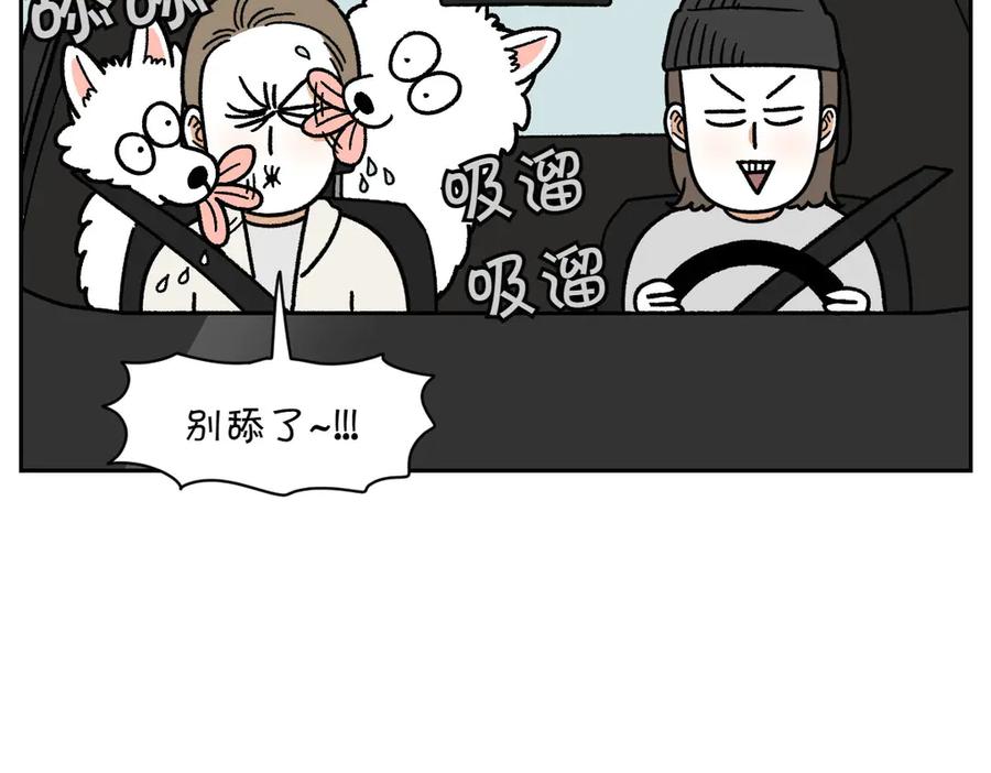 《我的狗子叫棉花》第18话 姐姐不在就难过的狗狗 第50页
