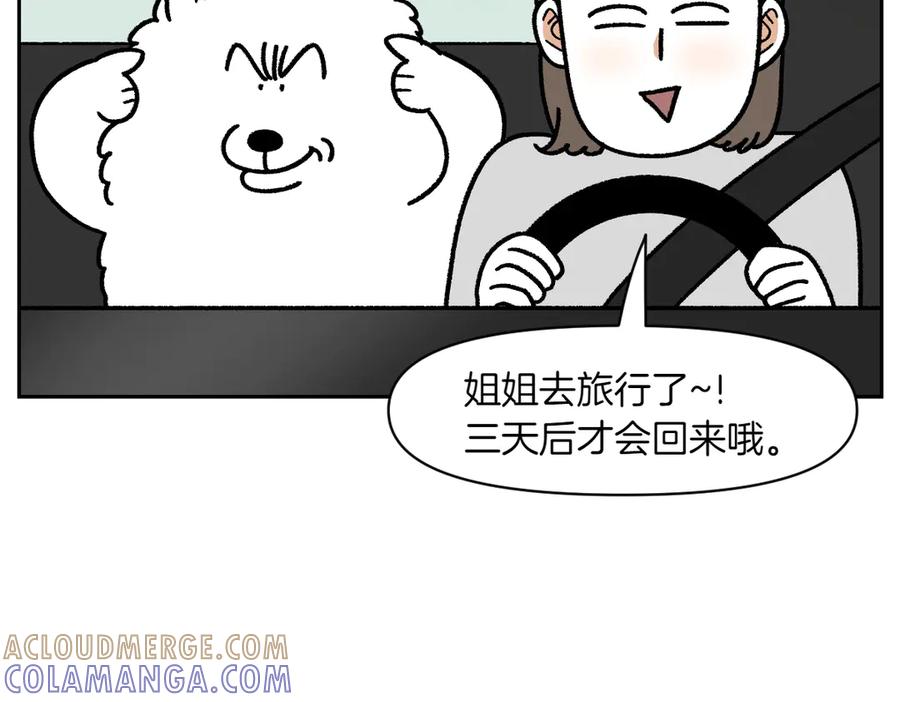 《我的狗子叫棉花》第18话 姐姐不在就难过的狗狗 第13页