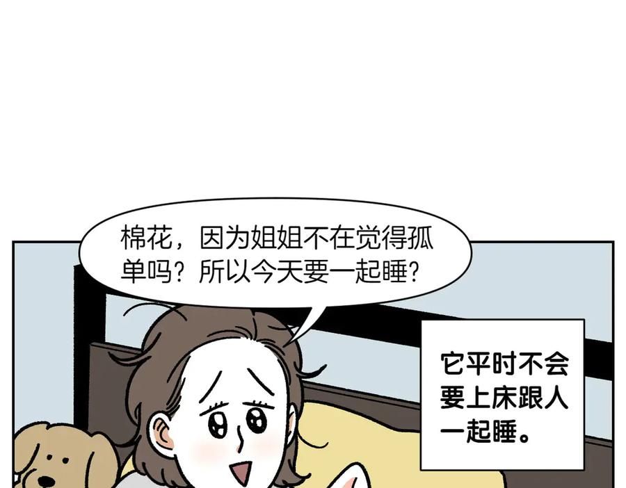 《我的狗子叫棉花》第18话 姐姐不在就难过的狗狗 第38页