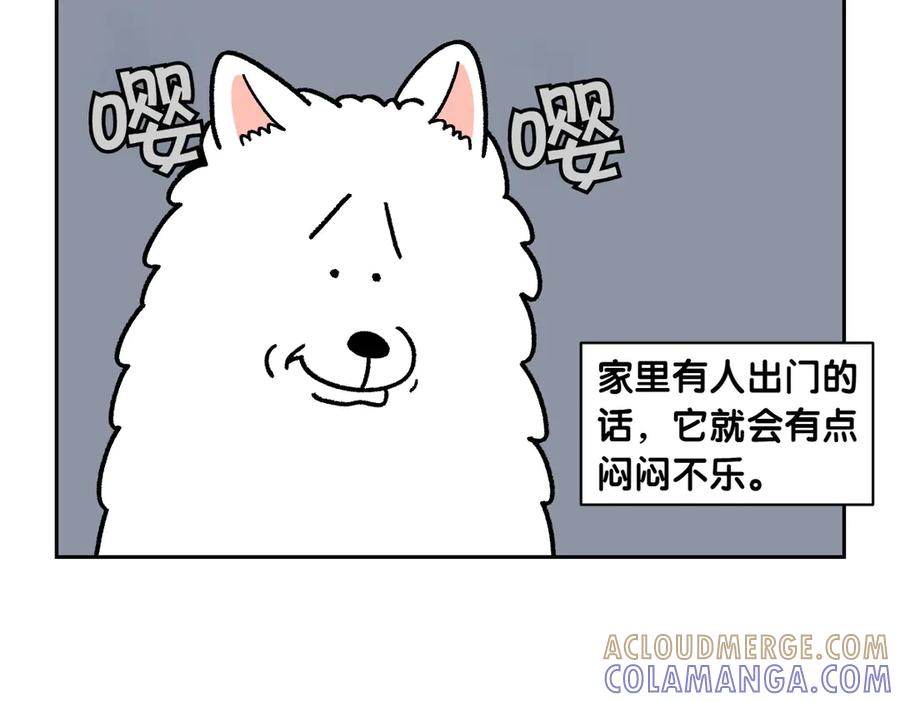 《我的狗子叫棉花》第18话 姐姐不在就难过的狗狗 第16页