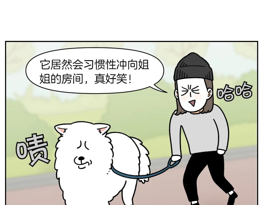 《我的狗子叫棉花》第18话 姐姐不在就难过的狗狗 第23页