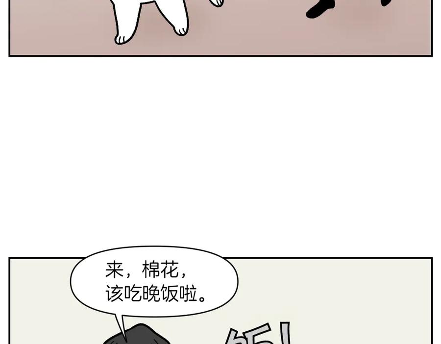 《我的狗子叫棉花》第18话 姐姐不在就难过的狗狗 第24页