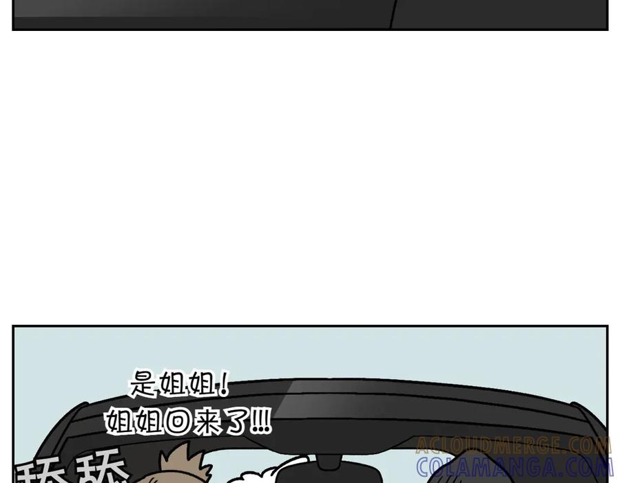《我的狗子叫棉花》第18话 姐姐不在就难过的狗狗 第49页