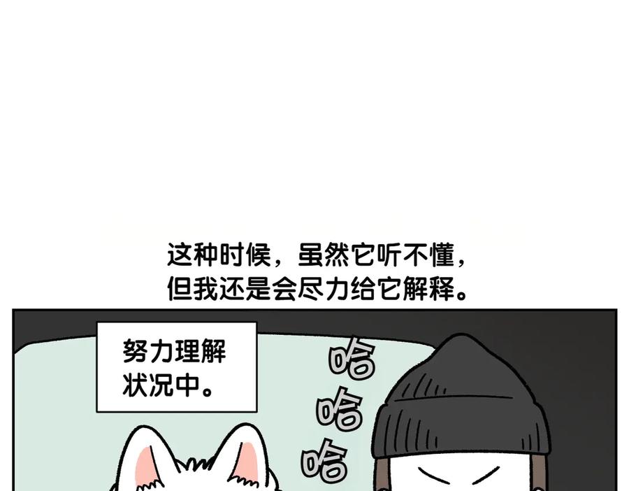 《我的狗子叫棉花》第18话 姐姐不在就难过的狗狗 第12页