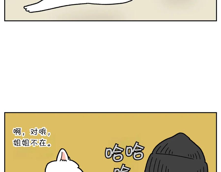 《我的狗子叫棉花》第18话 姐姐不在就难过的狗狗 第21页