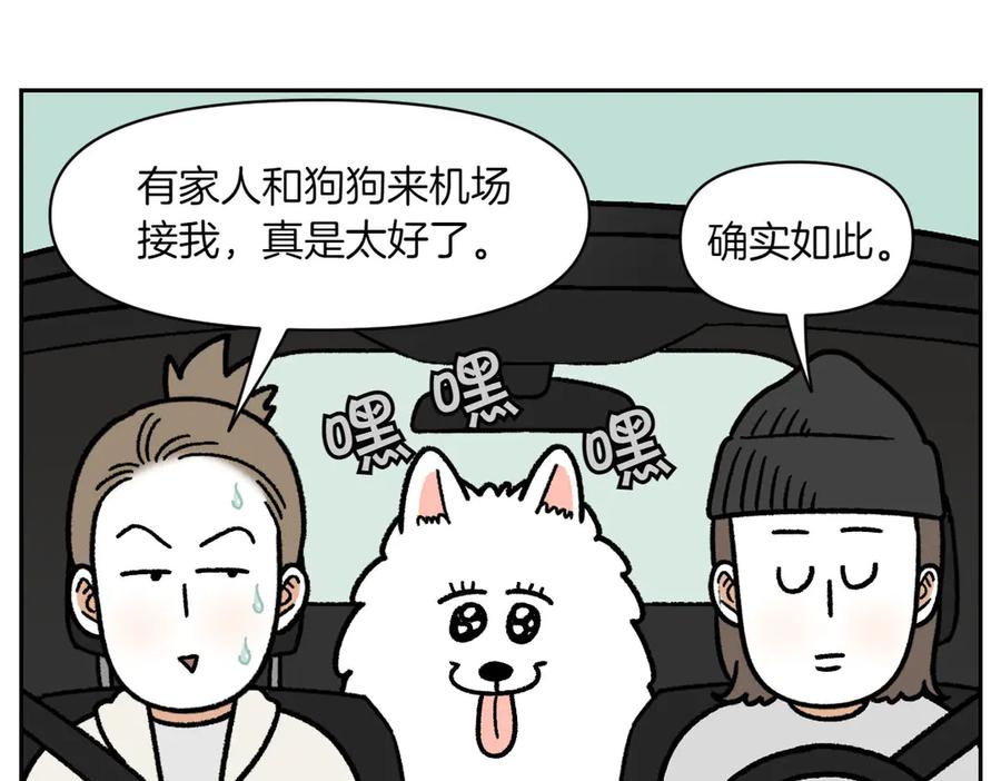 《我的狗子叫棉花》第18话 姐姐不在就难过的狗狗 第51页
