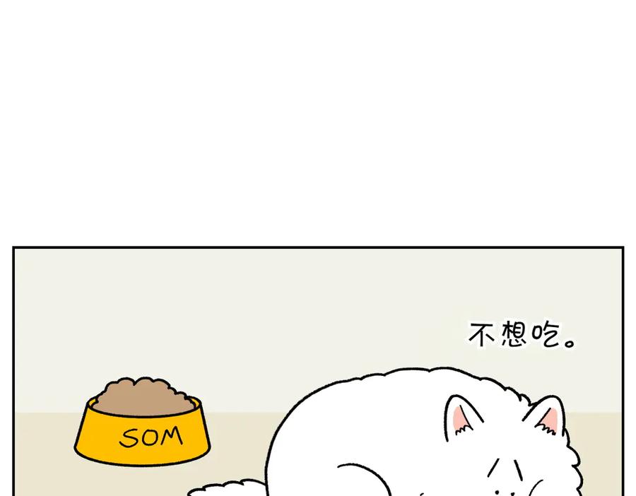 《我的狗子叫棉花》第18话 姐姐不在就难过的狗狗 第29页
