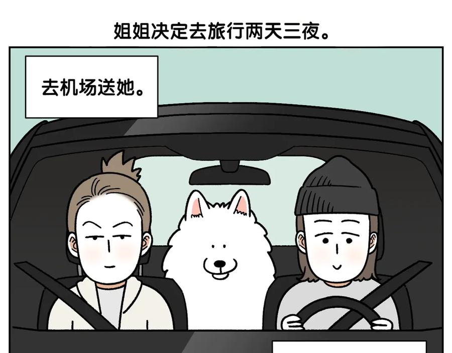 《我的狗子叫棉花》第18话 姐姐不在就难过的狗狗 第5页