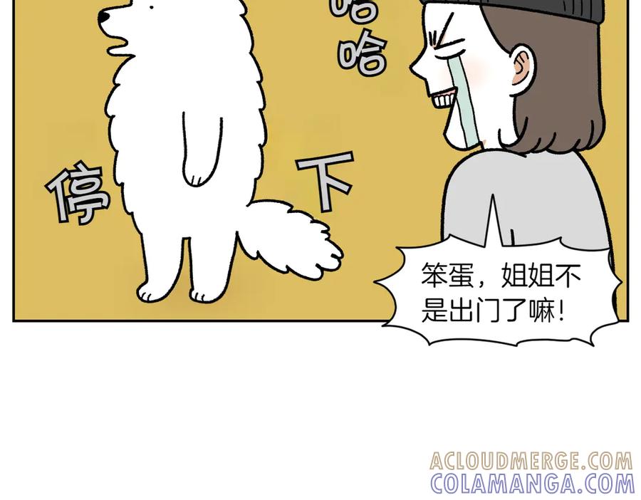 《我的狗子叫棉花》第18话 姐姐不在就难过的狗狗 第22页