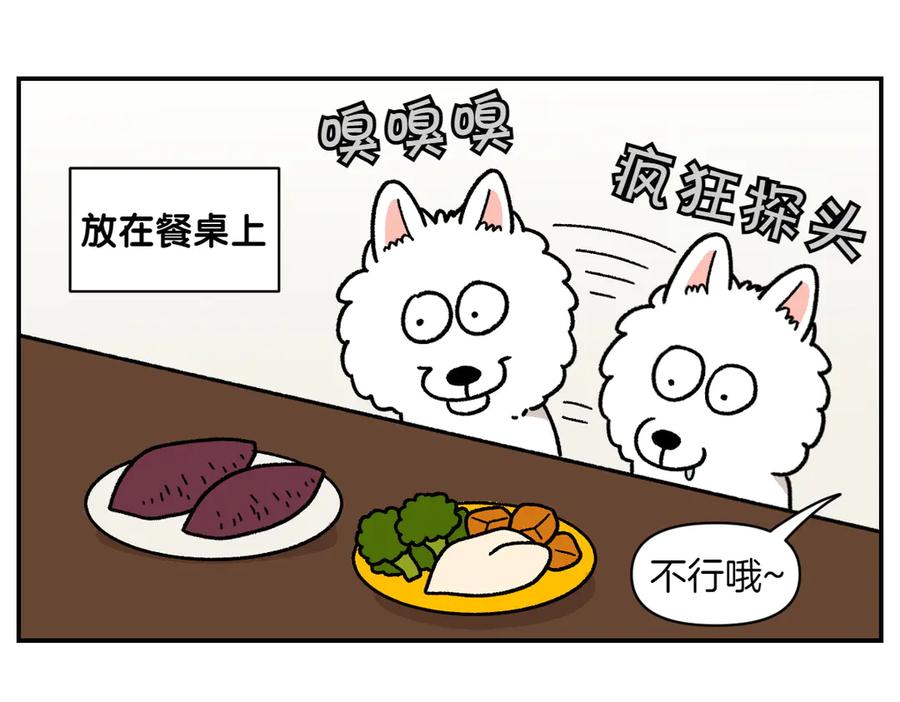 《我的狗子叫棉花》第19话 干净饮食 第30页